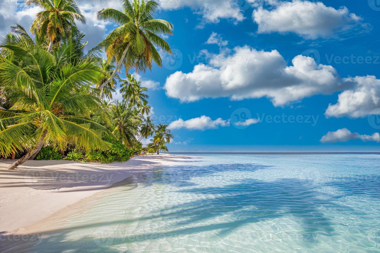 mejor paisaje de playa de verano. isla tropical tranquila, costa paradisíaca, laguna marina, horizonte, palmeras y cielo soleado sobre olas de arena. increíble fondo de paisaje de vacaciones. hermosa playa de vacaciones foto