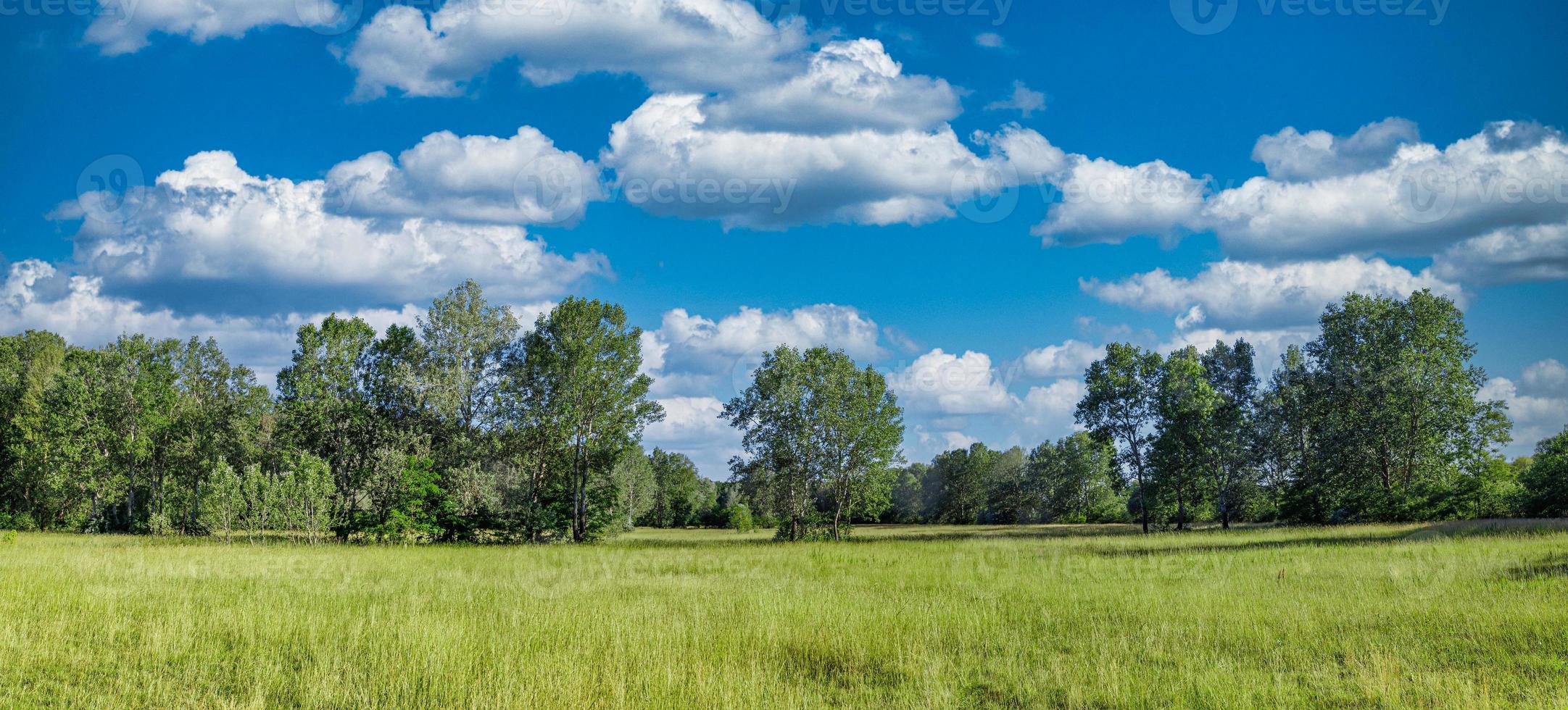 Idyllic mountain landscape with fresh green meadows and blooming wildflowers. Idyllic nature countryside view, rural outdoor natural view. idyllic banner nature, panoramic spring summer scenery photo