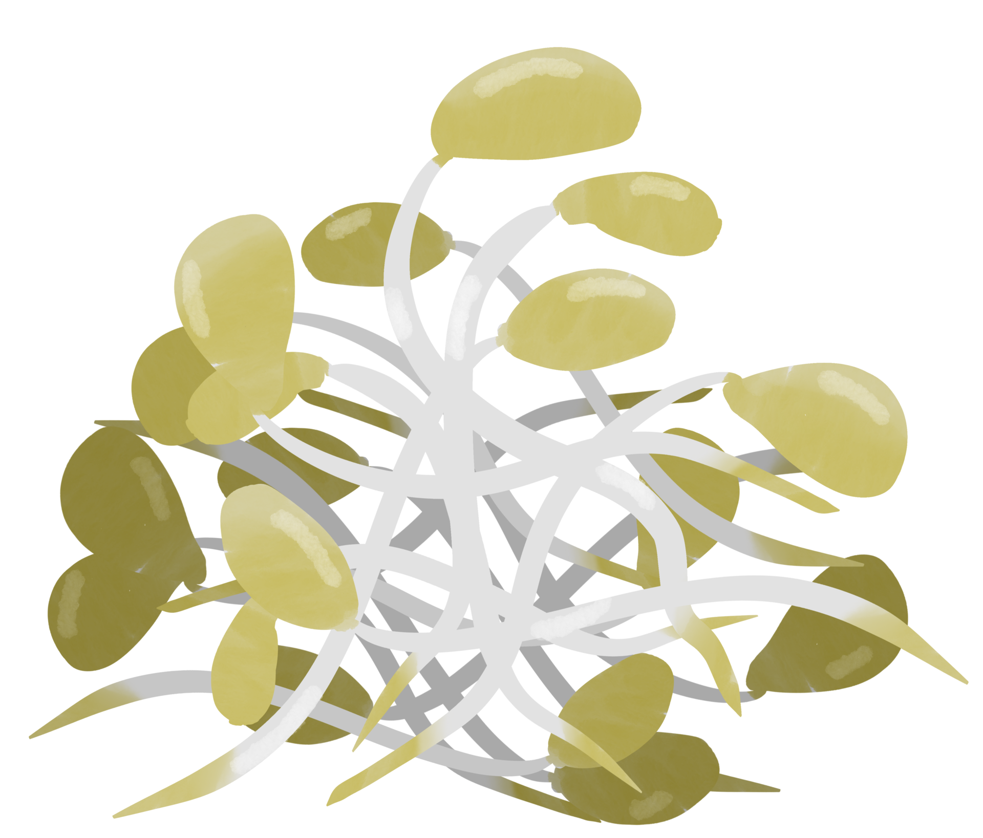 Bean sprout painting 13485810 PNG
