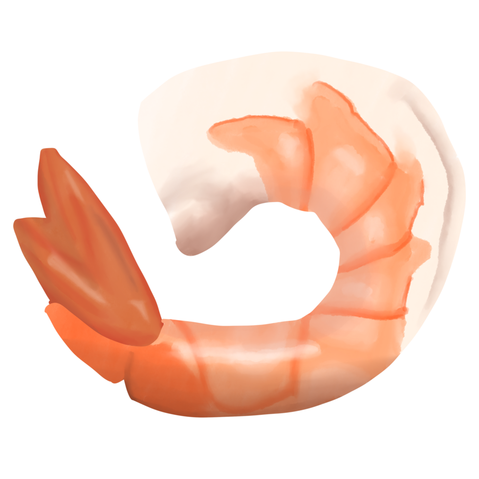 Cooked shrimp seafood painting png