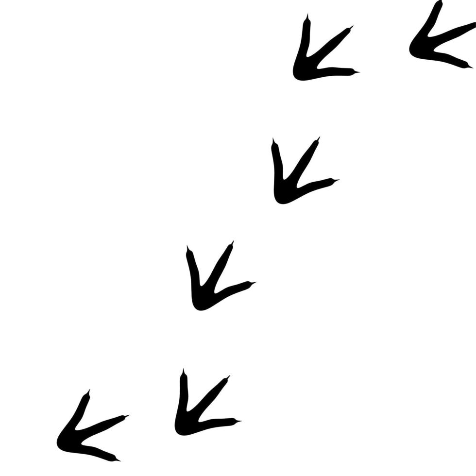 Vector silhouette of chicken footprints on a white background. Foot pattern for wallpaper, poster, logo.