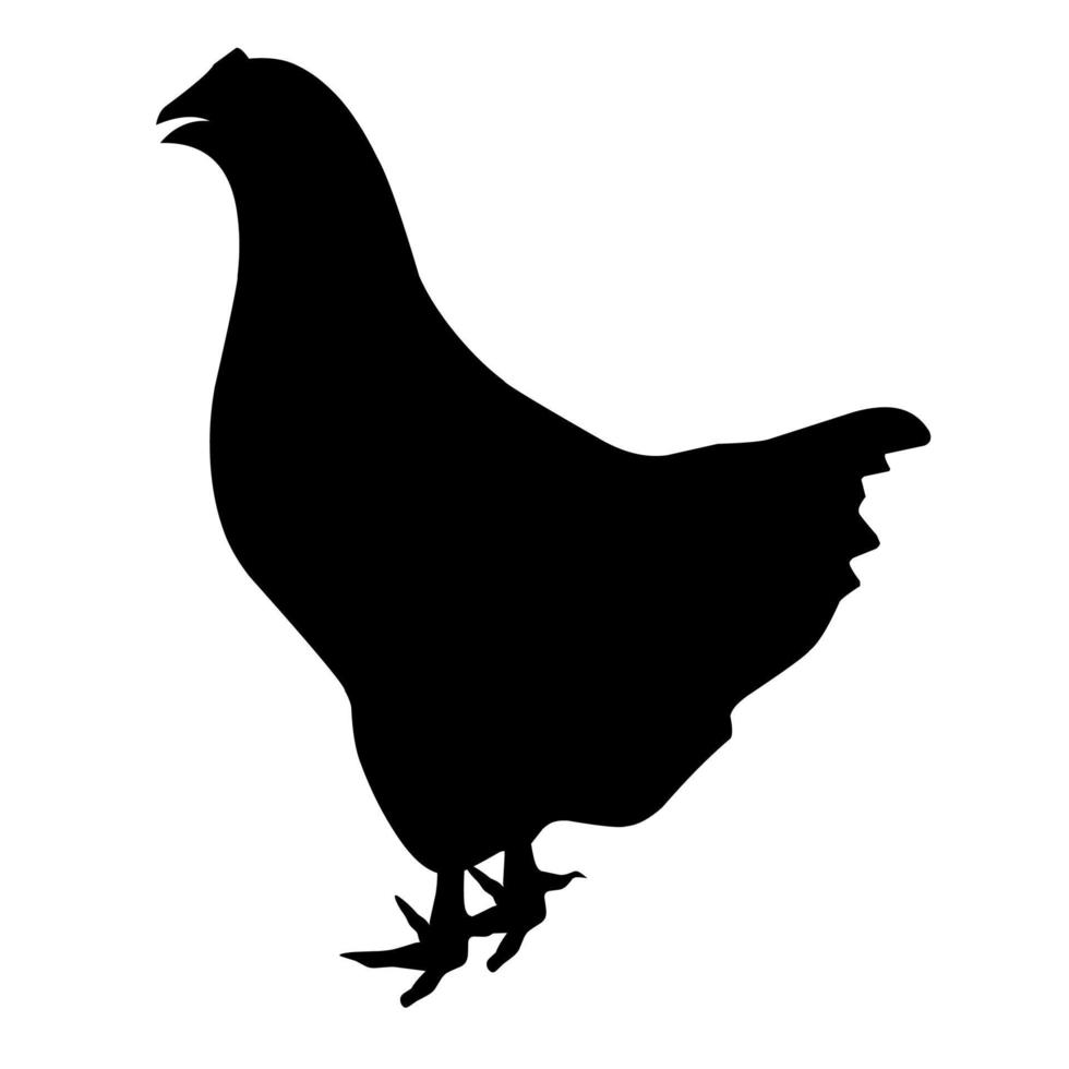 Silhouette of a chicken on a white background. Chicken is black. Great for poultry farm logo vector