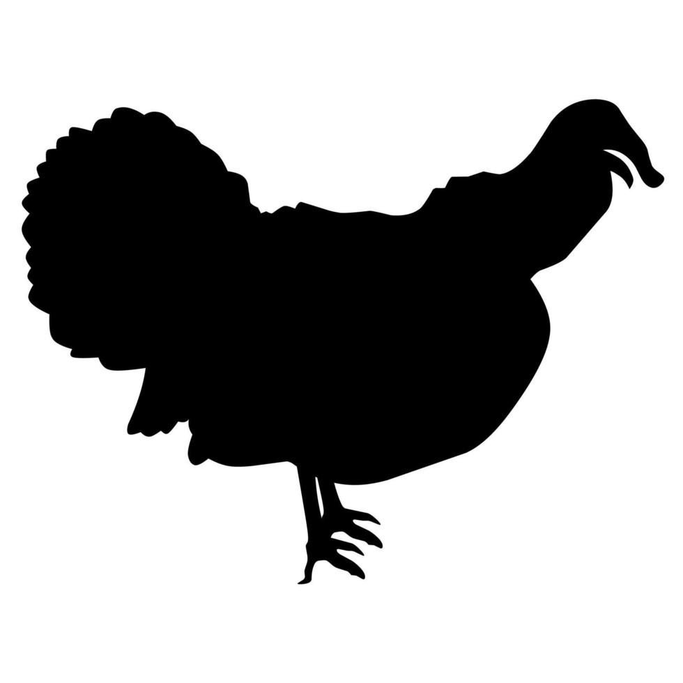 silueta vectorial de un pavo sobre un fondo blanco. grandes animales de granja. ideal para carteles, logotipos de granjas avícolas vector