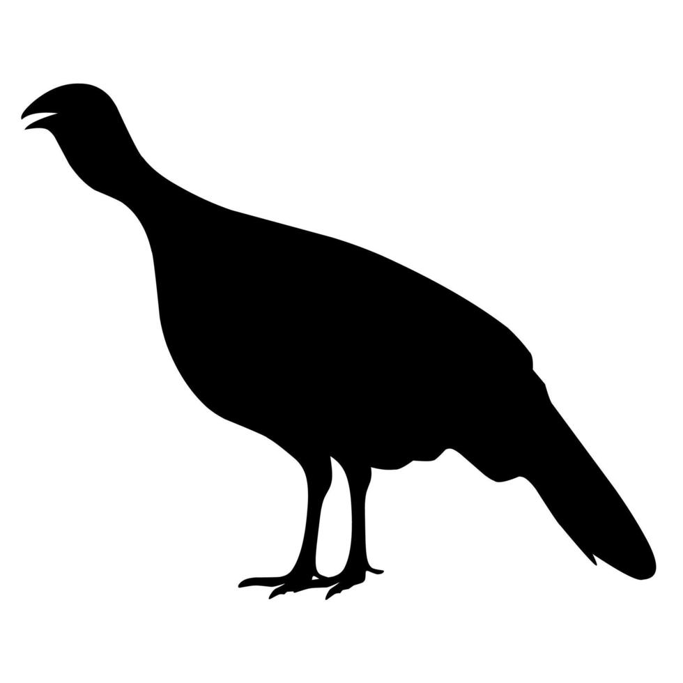 silueta de un pavo sobre un fondo blanco. vector de aves de color negro. genial para el logo de la granja avícola