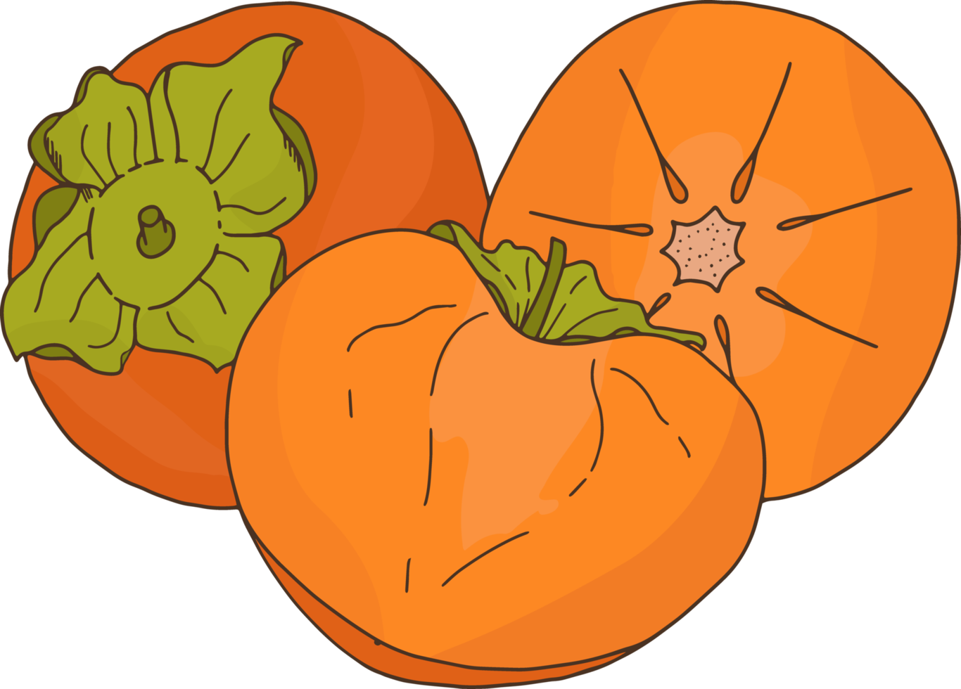 Orange persimmon. Autumn fruit png