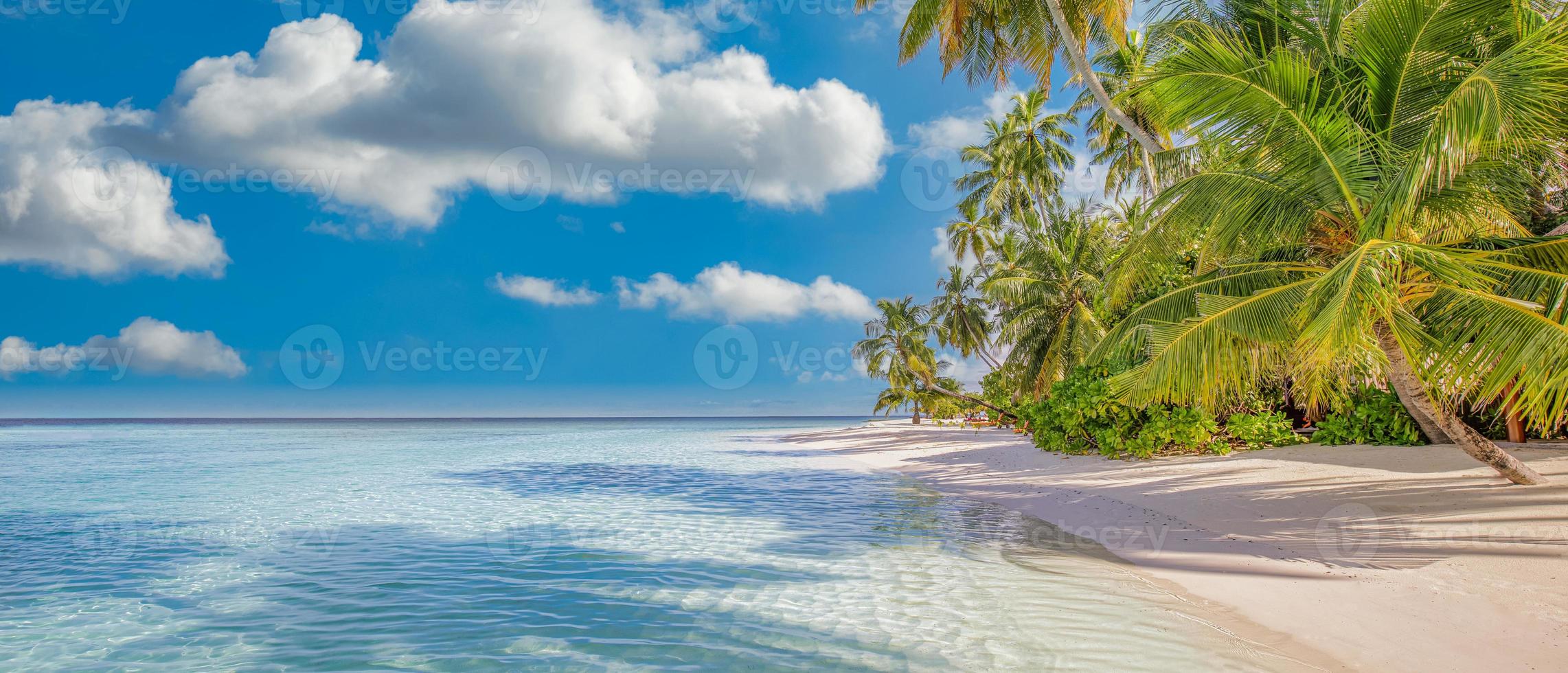 Best summer beach landscape. Tranquil tropical island, paradise coast, sea lagoon, horizon, palm trees and sunny sky over sand waves. Amazing vacation landscape background. Beautiful holiday beach photo