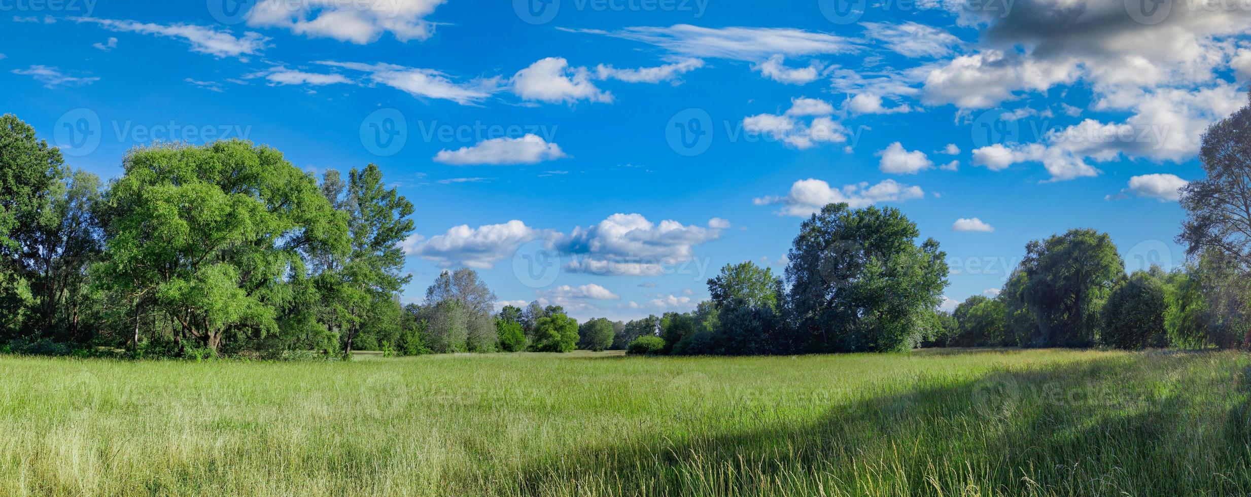 Idyllic mountain landscape with fresh green meadows and blooming wildflowers. Idyllic nature countryside view, rural outdoor natural view. idyllic banner nature, panoramic spring summer scenery photo