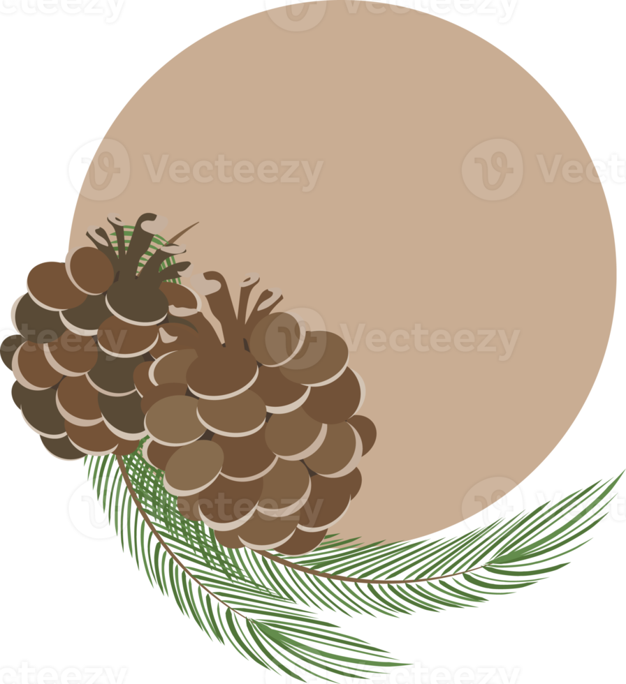 pine cone decoration png
