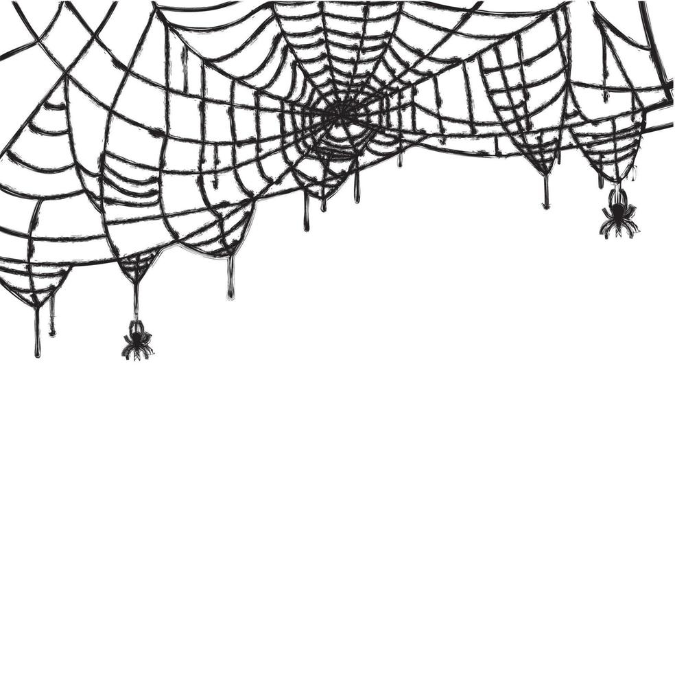 Spider and Web Isolated on White Background. vector