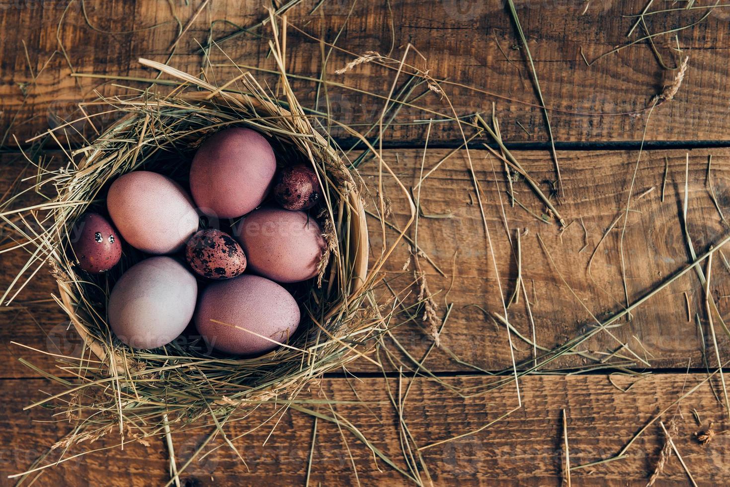 Ester nest. Top view of colored Easter eggs in bowl with hay lying on wooden rustic table photo