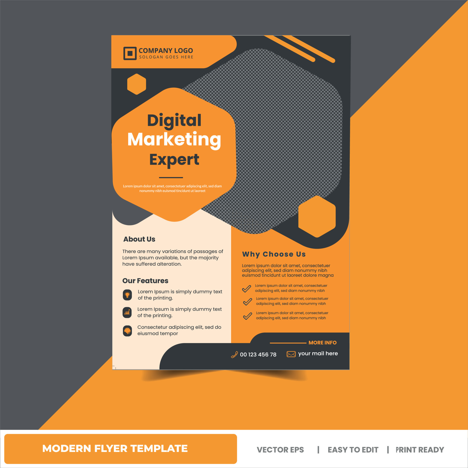 Professional Flyer Design Business Flyer Template, event flyer