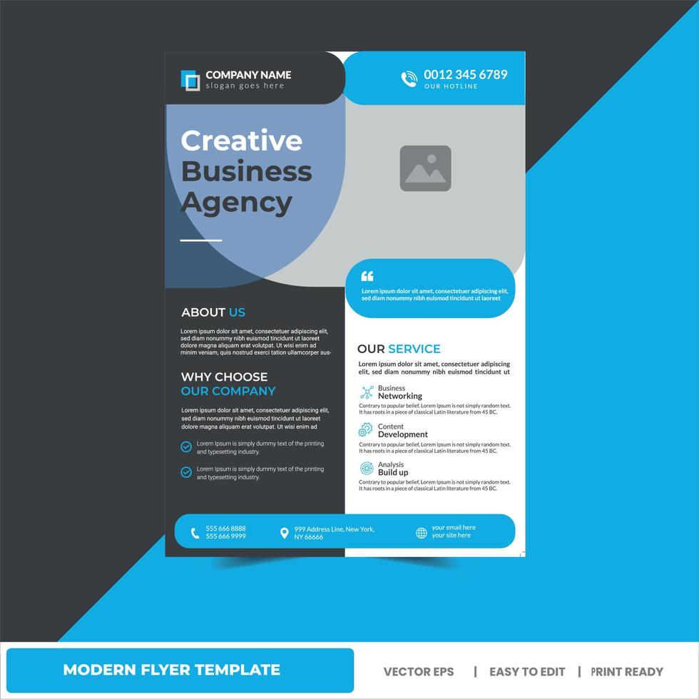 Professional Flyer Design - Business Flyer Template, event flyer, vector flyer template,cover modern layout, poster, marketing agency poster , brochure cover design layout - V12