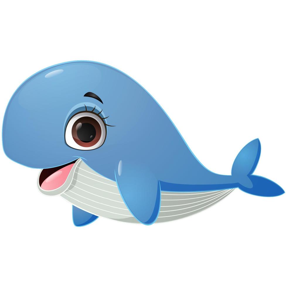 Cute whale cartoon on white background vector