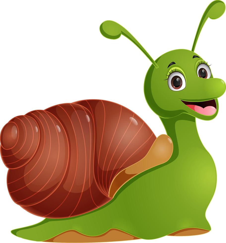 Cute snail cartoon on white background vector