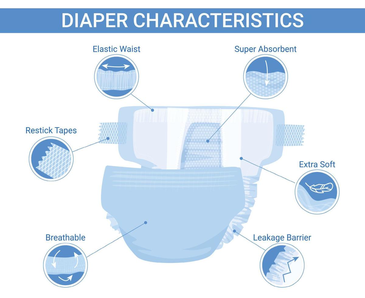 Baby Diaper Summary Infographics vector