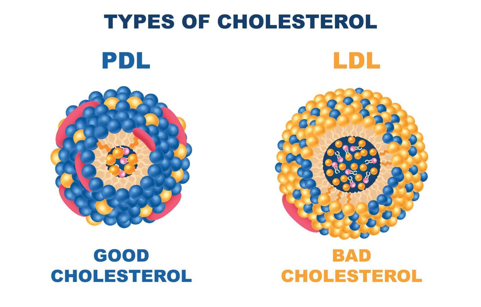 conjunto de tipos de colesterol vector