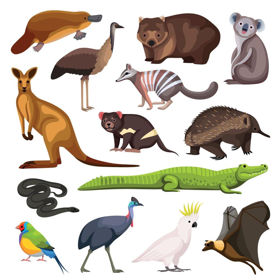 conjunto de animales australianos vector