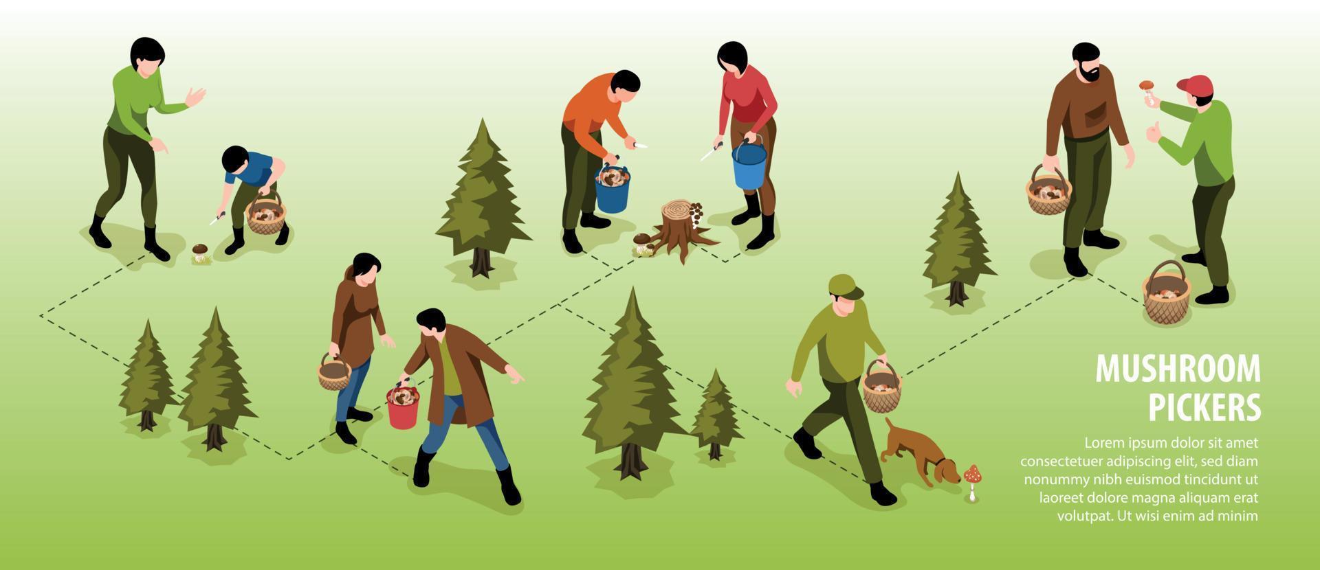 Mushroom Pickers Horizontal Infographics vector