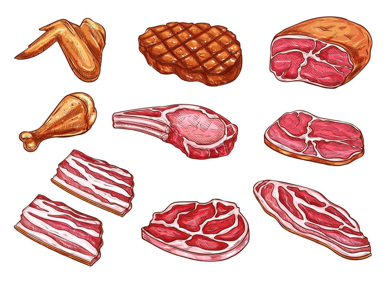 vector, bosquejo, carne, carnicero, productos, iconos vector