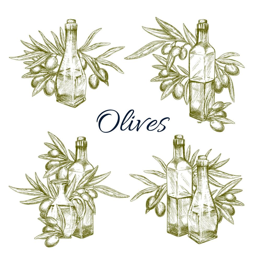 Olive oil and olives vector sketch icons set