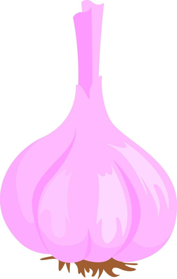 Pink onion, illustration, vector on white background.