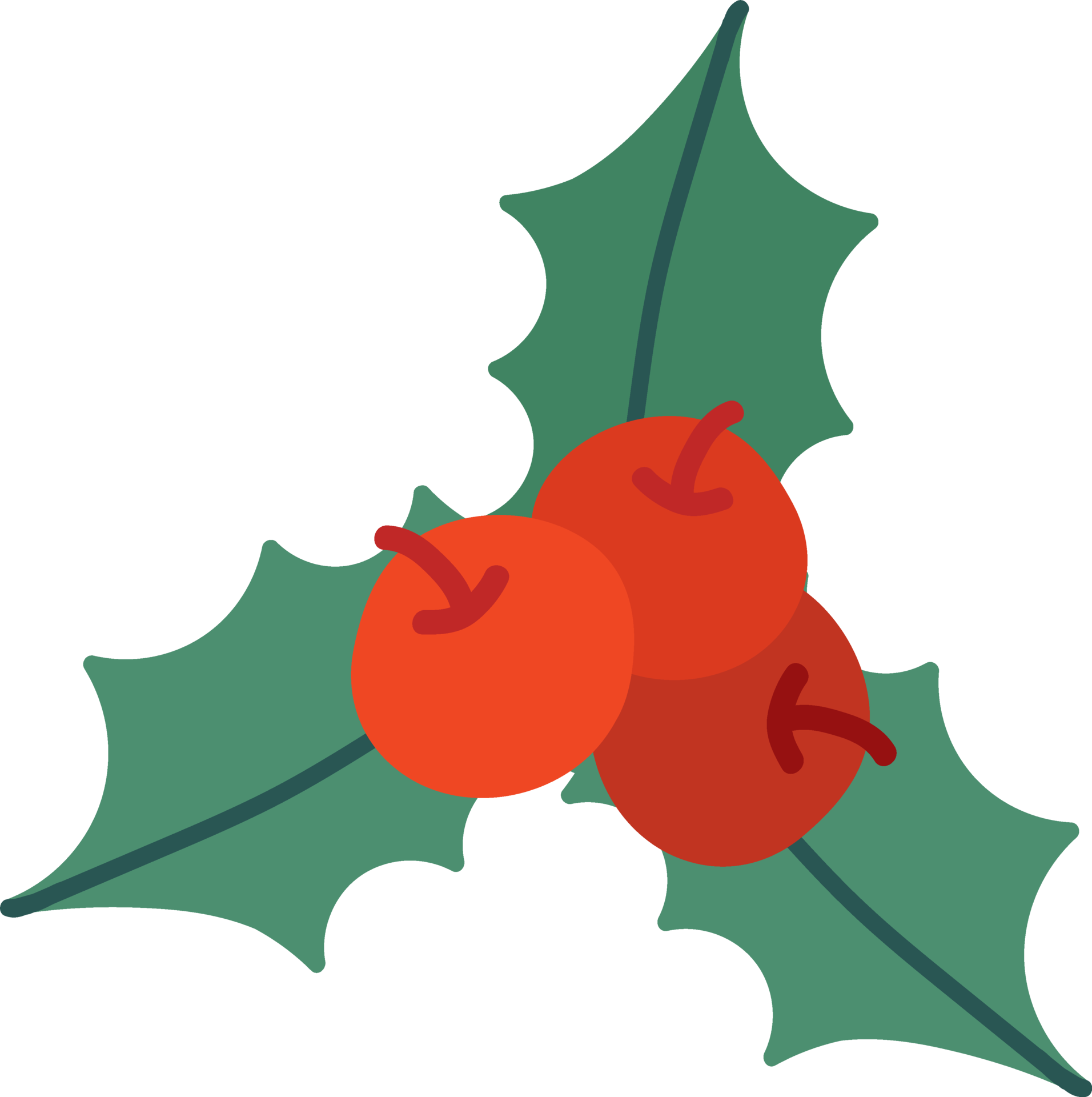 christmas red mistletoe 13490328 PNG