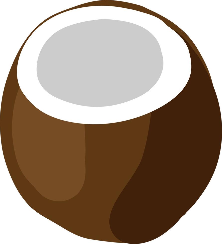 Flat coconut, illustration, vector on white background.