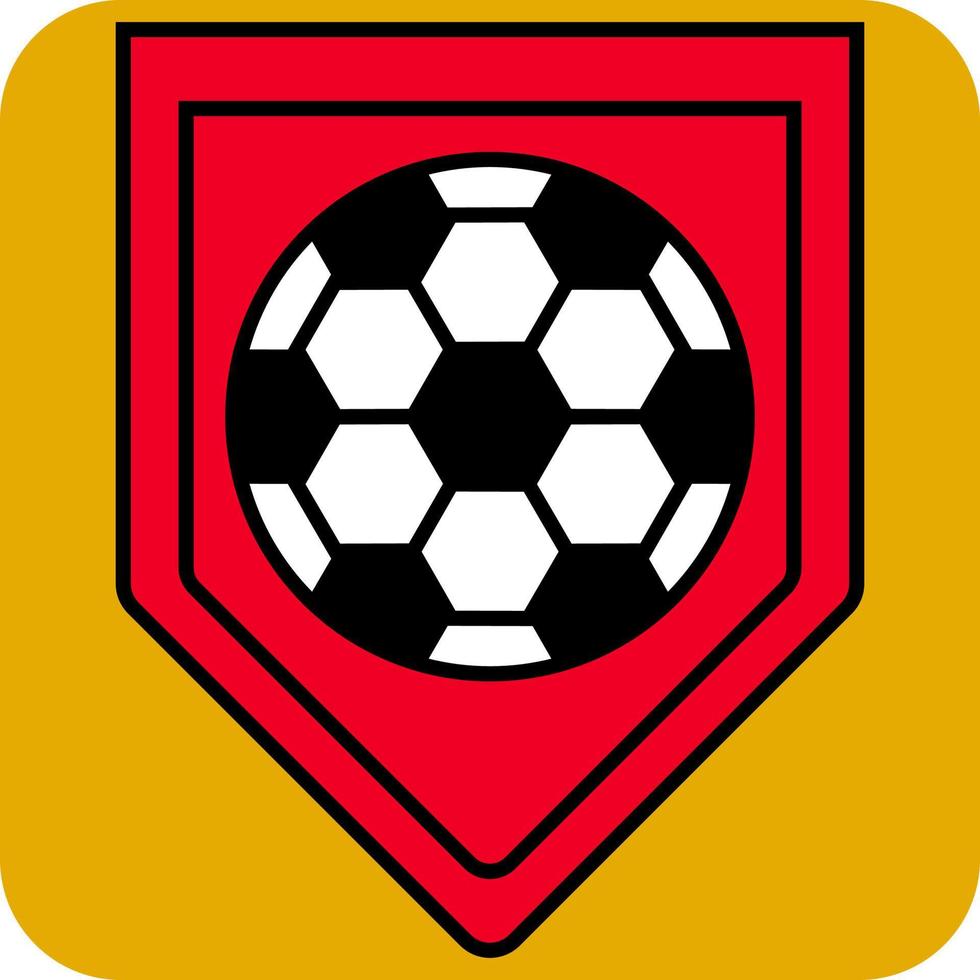 bandera de fútbol, ilustración, vector, sobre un fondo blanco. vector