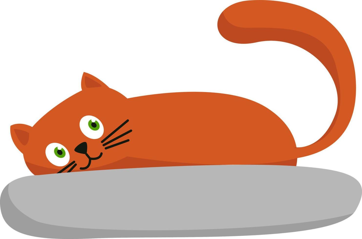 Cat on pillow, illustration, vector on white background