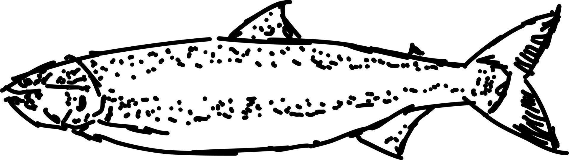 Fish drawing, illustration, vector on white background.