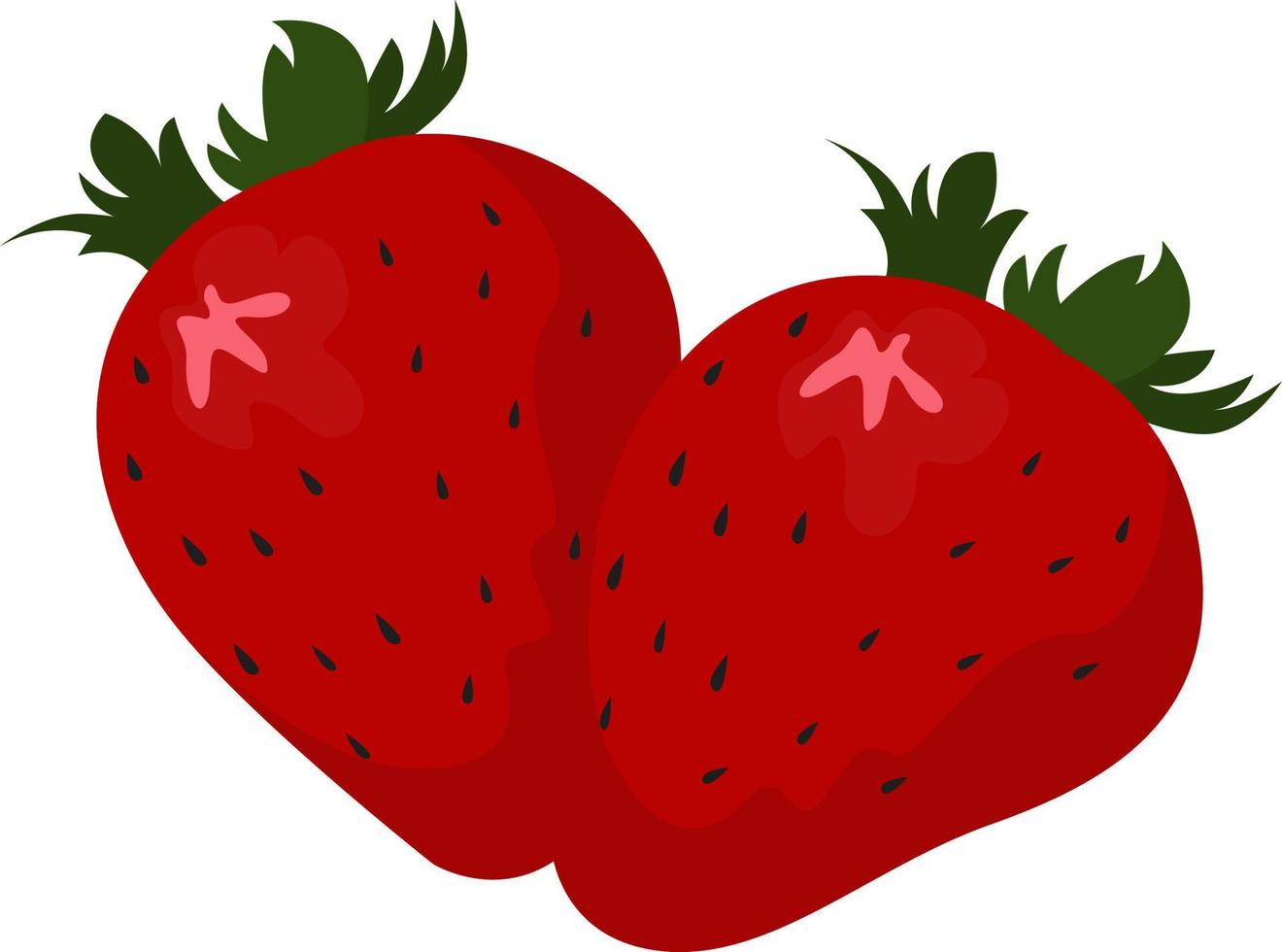 fresa fresca, ilustración, vector sobre fondo blanco