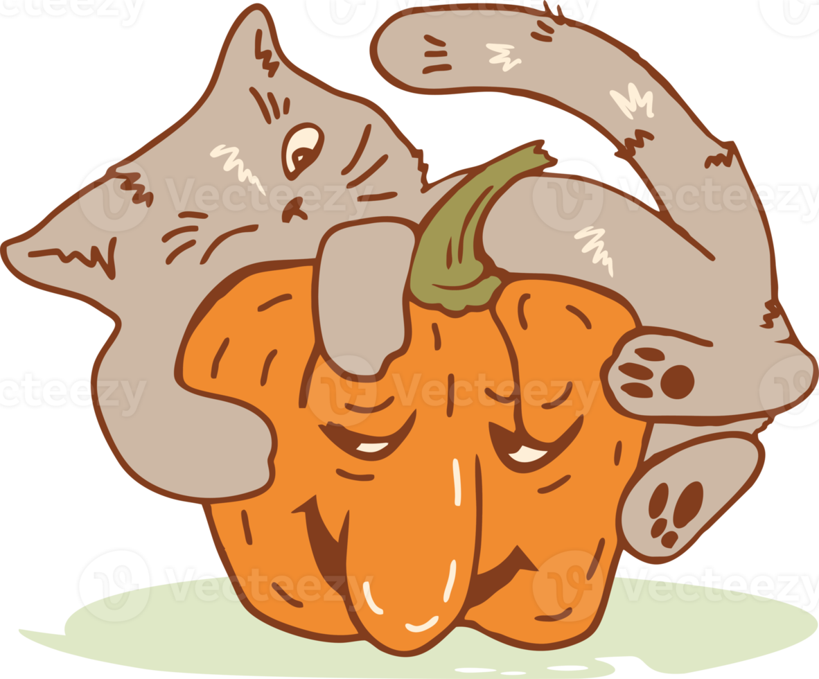 Funny cat hugging a huge Halloween lantern pumpkin, png