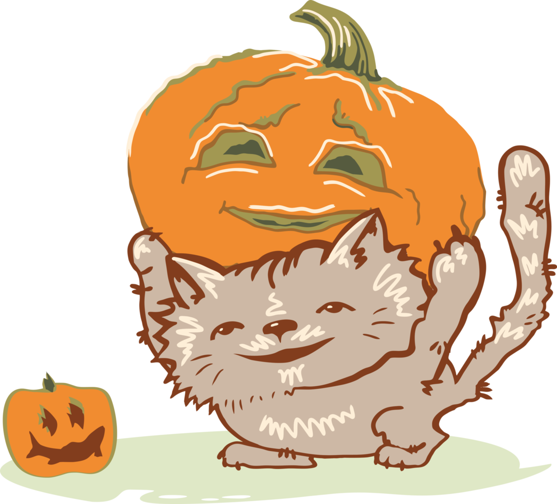 gato divertido arrastra una enorme calabaza para halloween. png