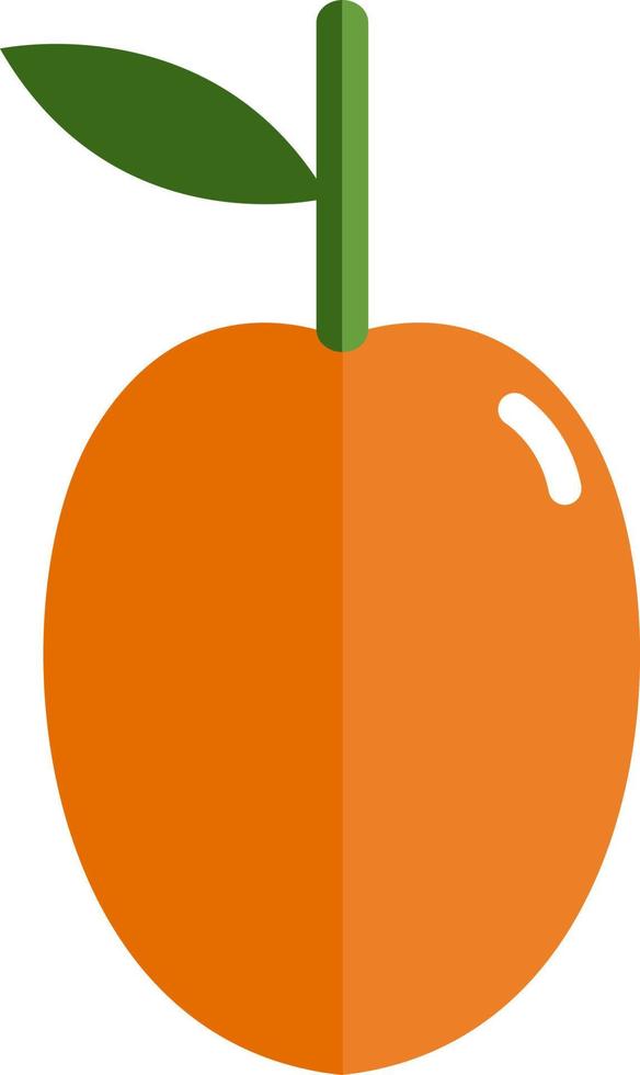 Orange apricot, illustration, vector on white background.