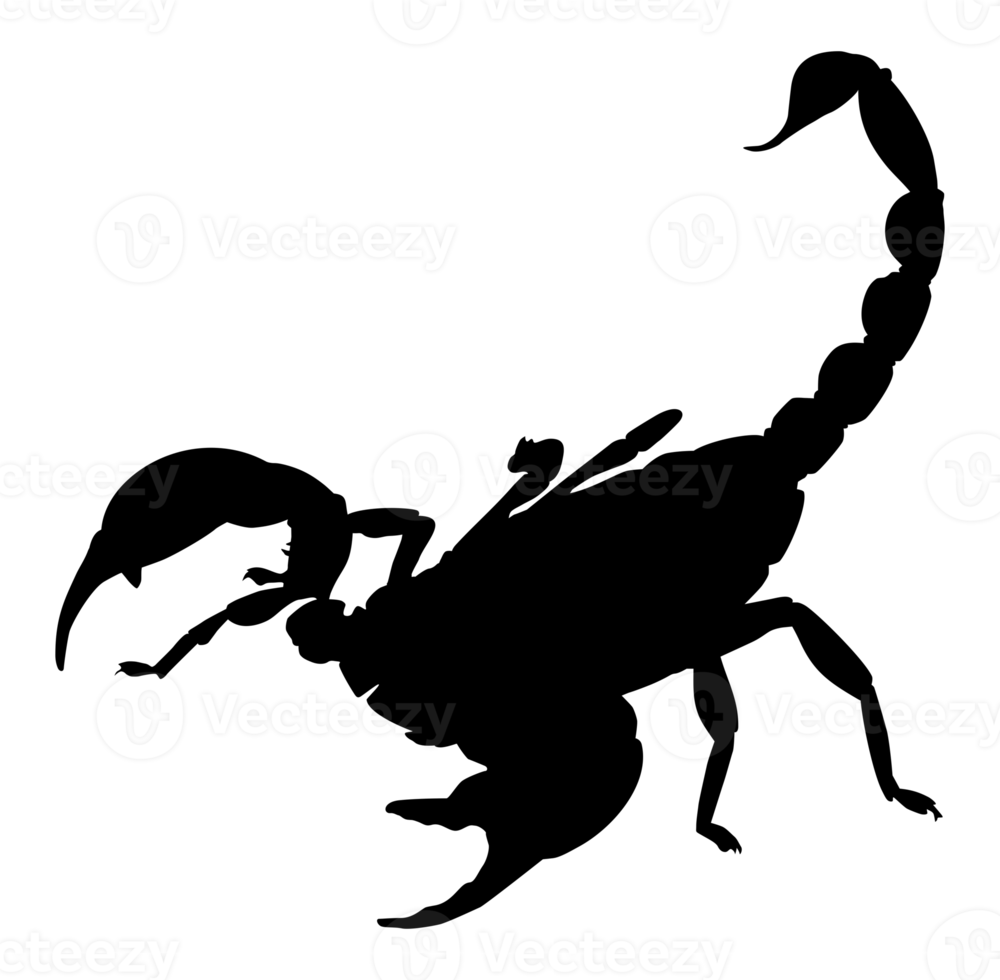 silueta de escorpión para logotipo o elemento de diseño gráfico. formato png
