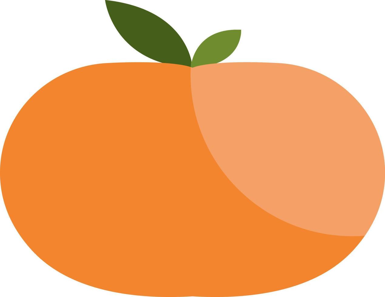 mandarina púrpura, ilustración, vector sobre fondo blanco.