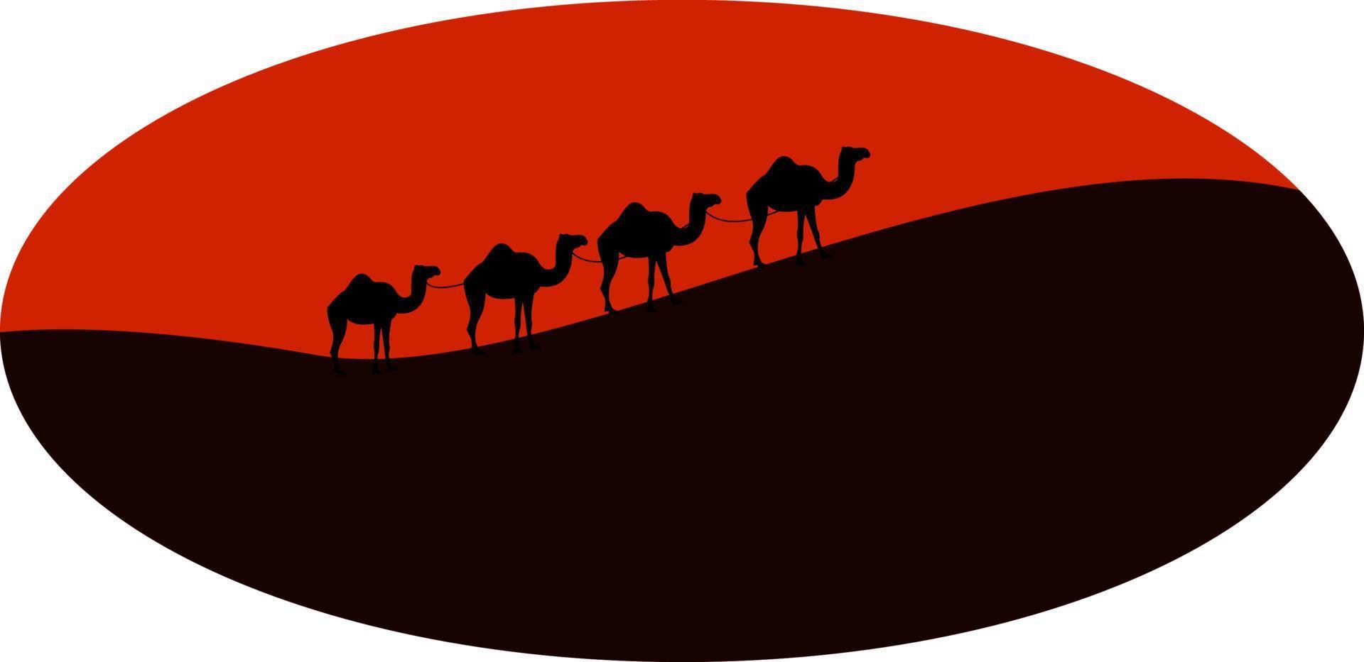 Camels in desert, illustration, vector on white background.