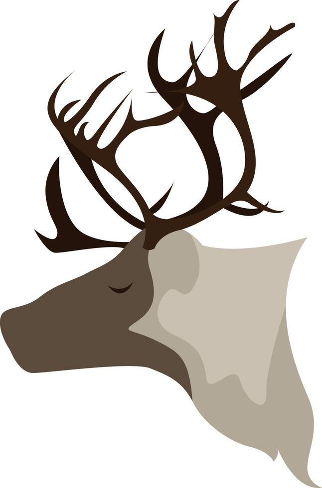 Reindeer head, illustration, vector on white background.