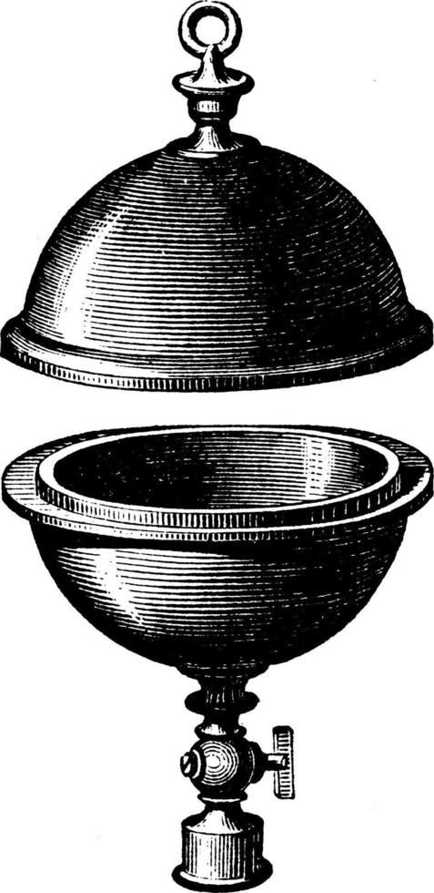 Two hemisphere, vintage illustration. vector