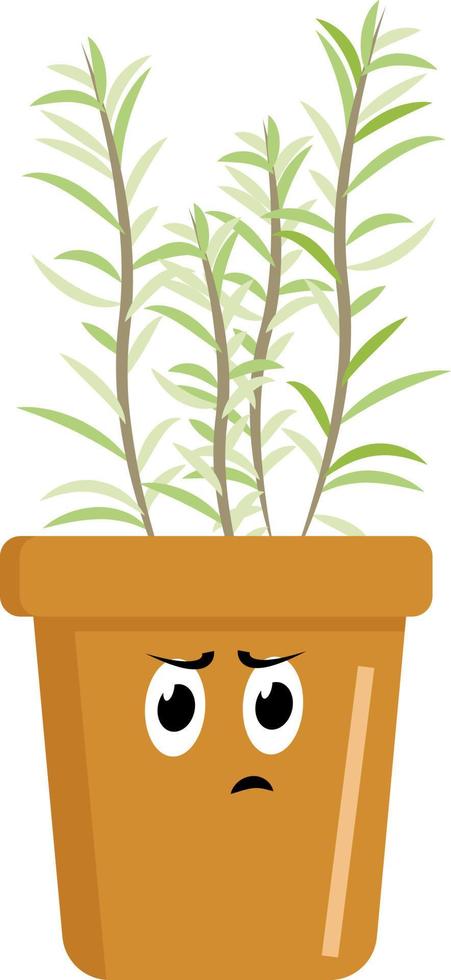 Rosemary in pot, illustration, vector on white background.