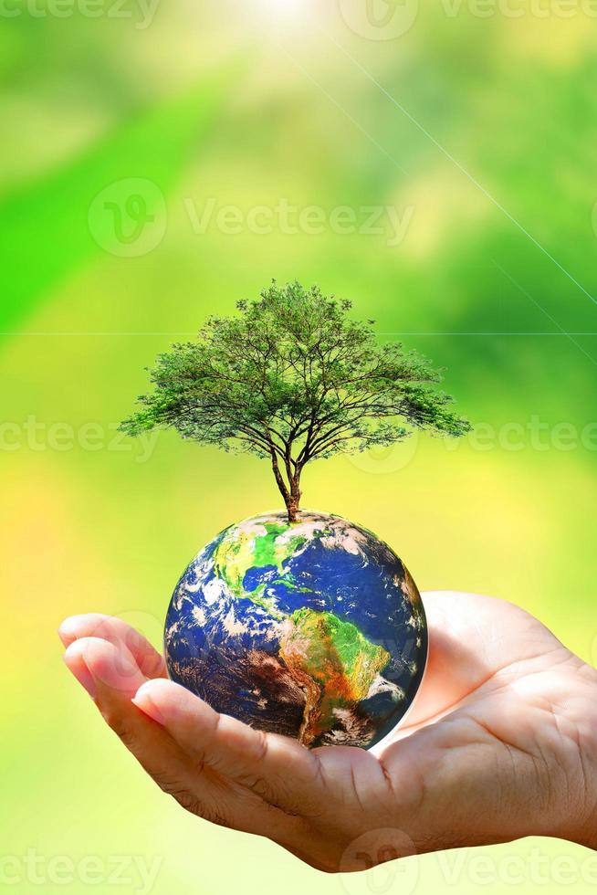 save the world concept protect the environment on earth day photo