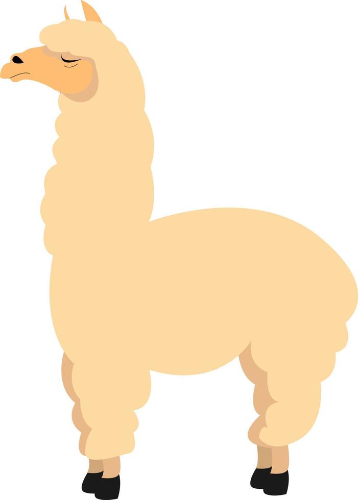 Alpaca, illustration, vector on white background.