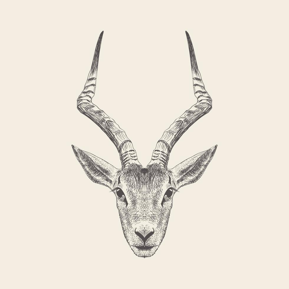 Trendy Antelope Concept vector
