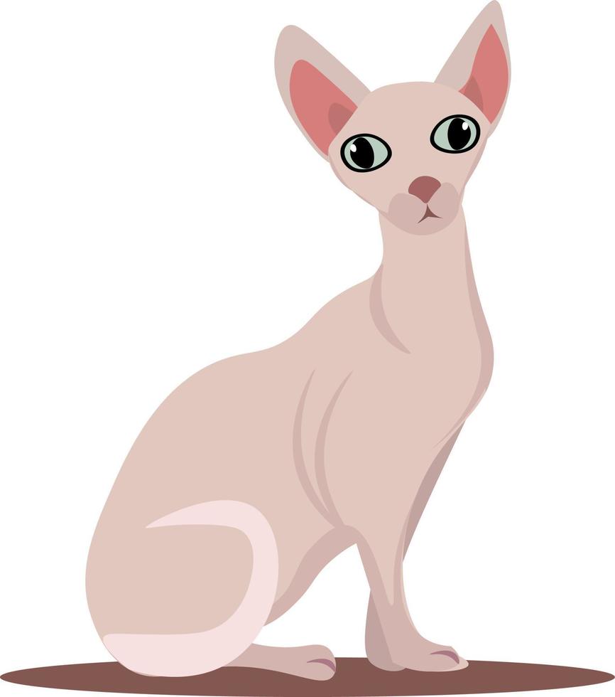 Sphynx cat, illustration, vector on white background.