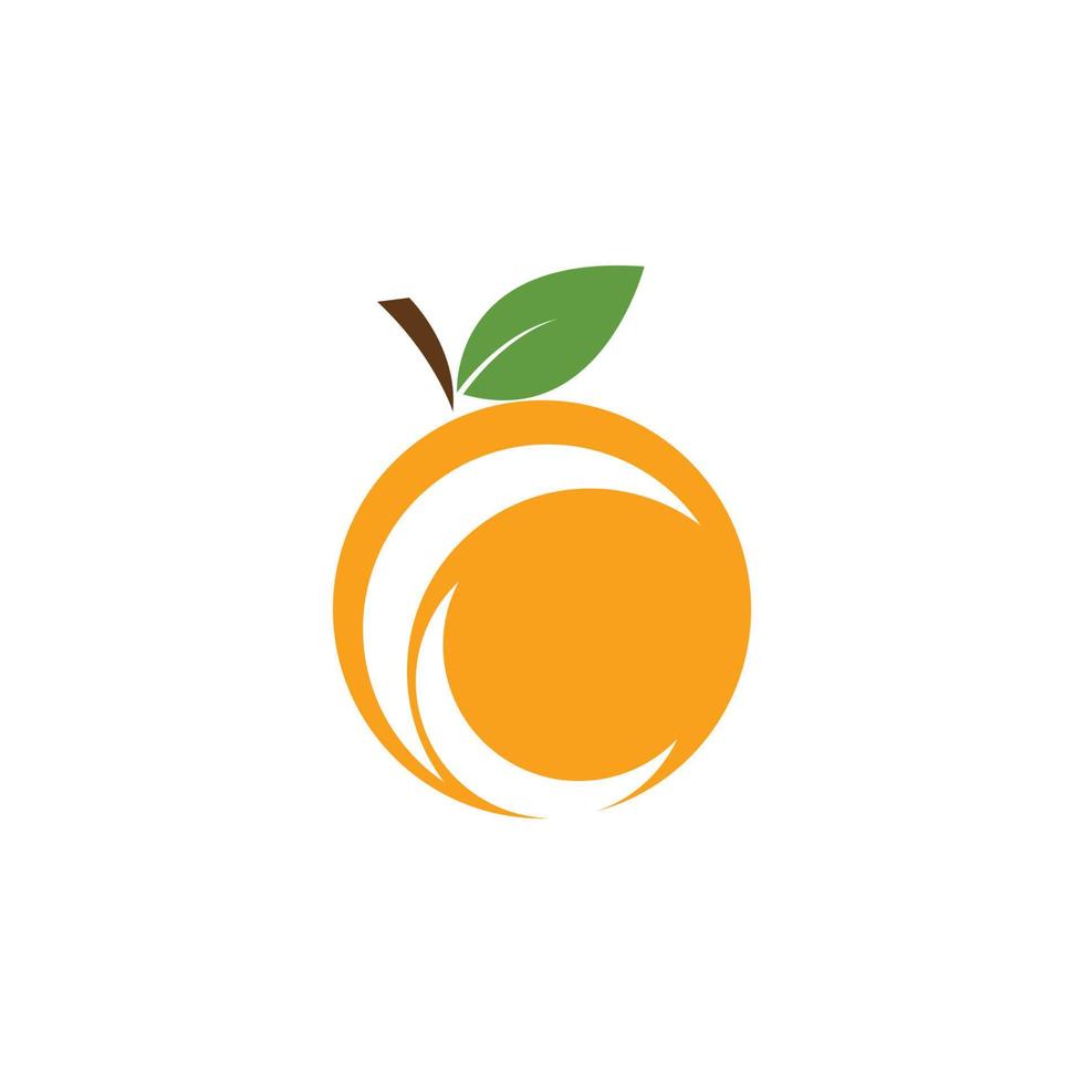 logo de fruta naranja vector