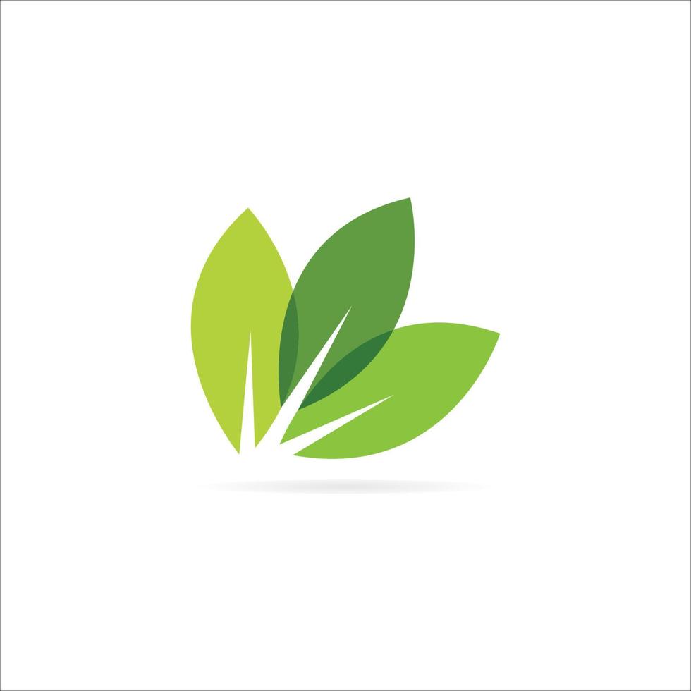 leaf logo vector