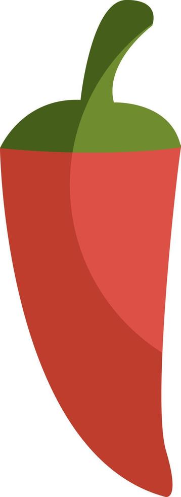 Red chili pepper, illustration, vector on a white background.