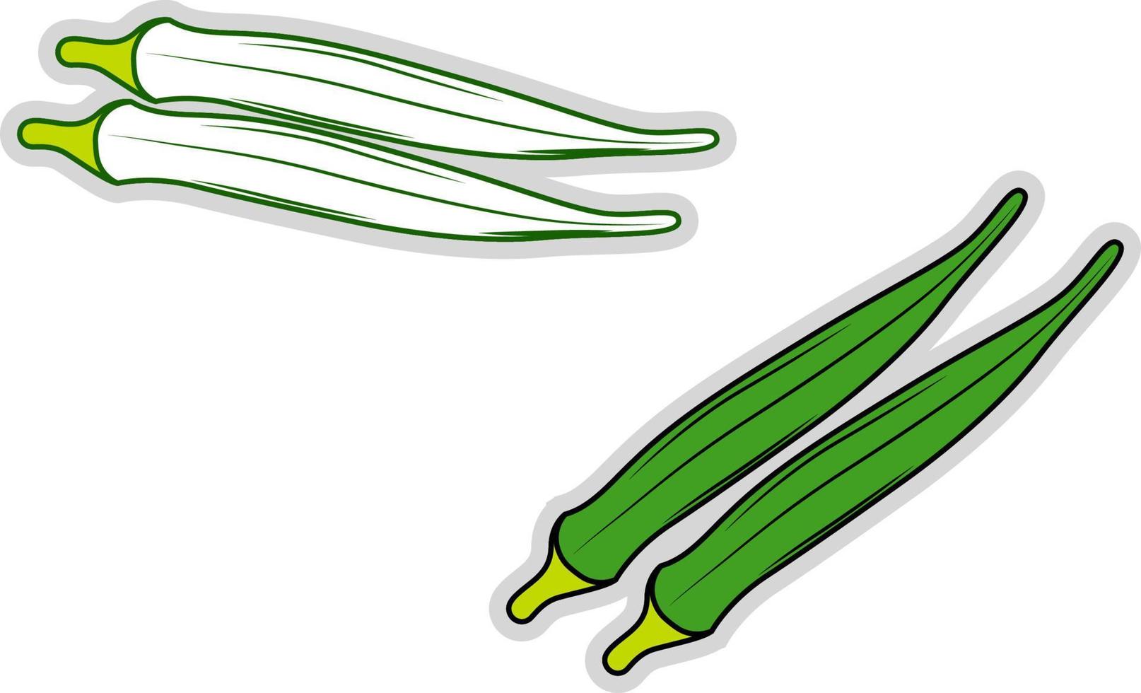 fresh okra, illustration, vector on white background.