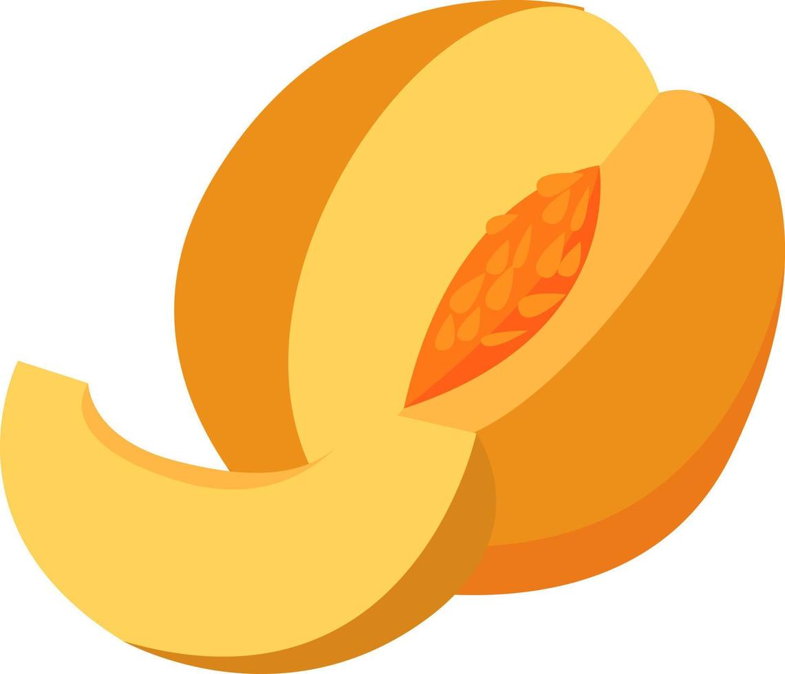 Melon, illustration, vector on white background.
