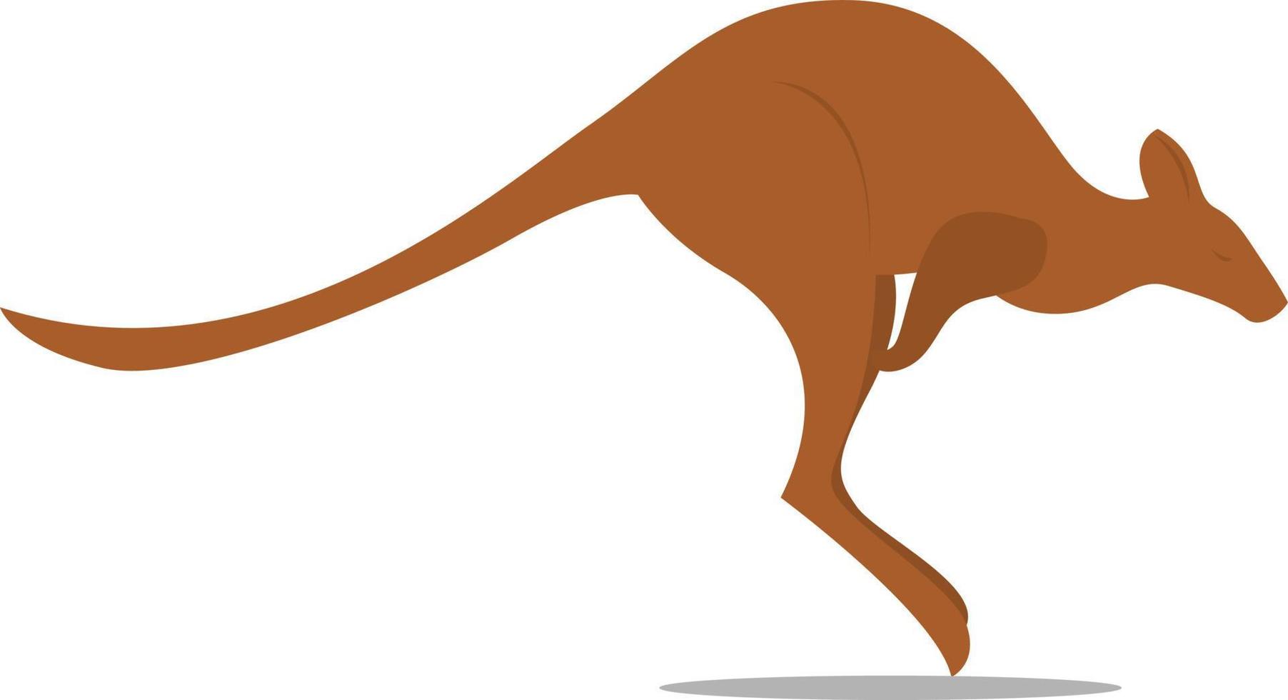 Kangaroo, illustration, vector on white background.